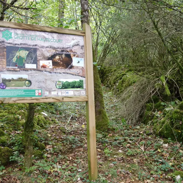 La Réserve naturelle nationale de la Grotte de Hautecourt