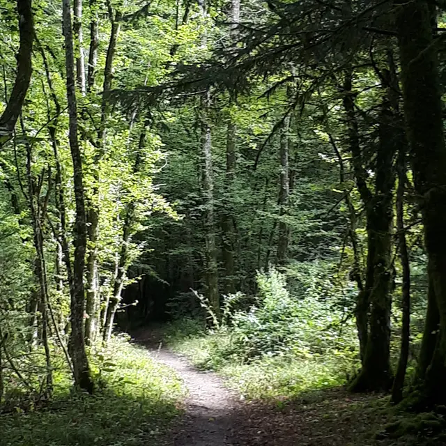 Circuit VTT