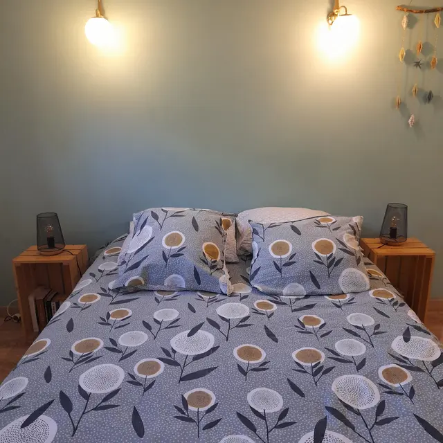 Appartement Scandinave_Allevard