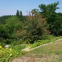 Jardin botanique