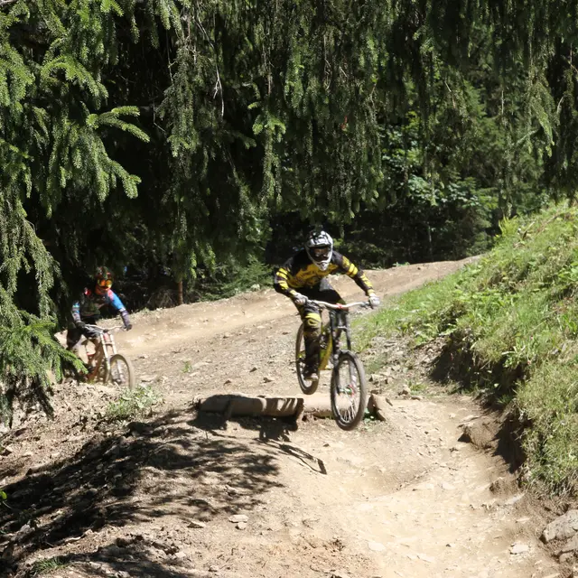 Secteur VTT Pleney Morzine