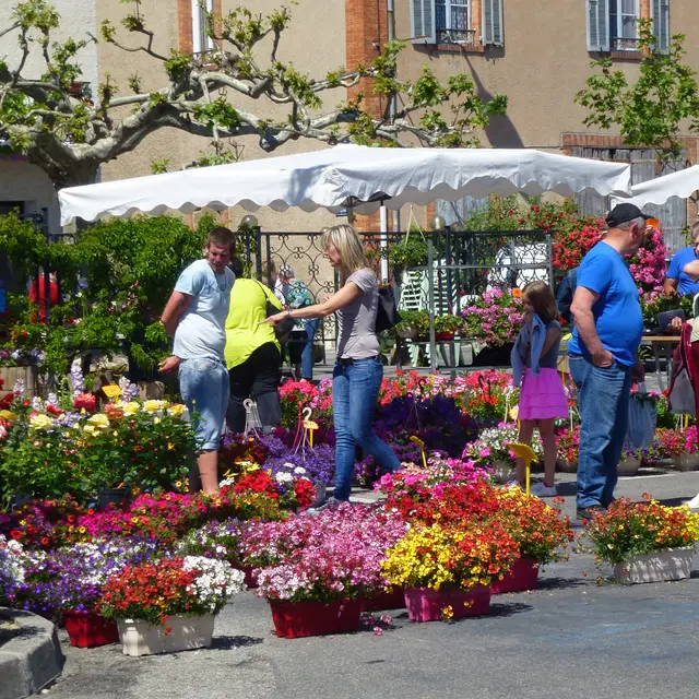 Foire aux plants à Laragne