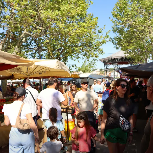 Le Grand Marché de Sanary_Sanary-sur-Mer