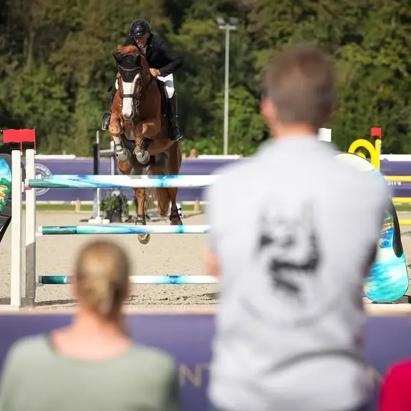 Concours de sauts international -Jumpings de mars à avril à Gassin