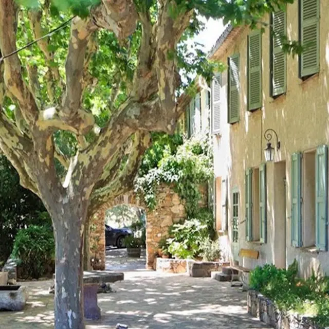 domaine de Siouvette