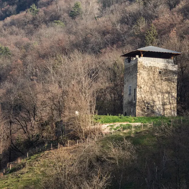 la_tour_p1073465.jpg