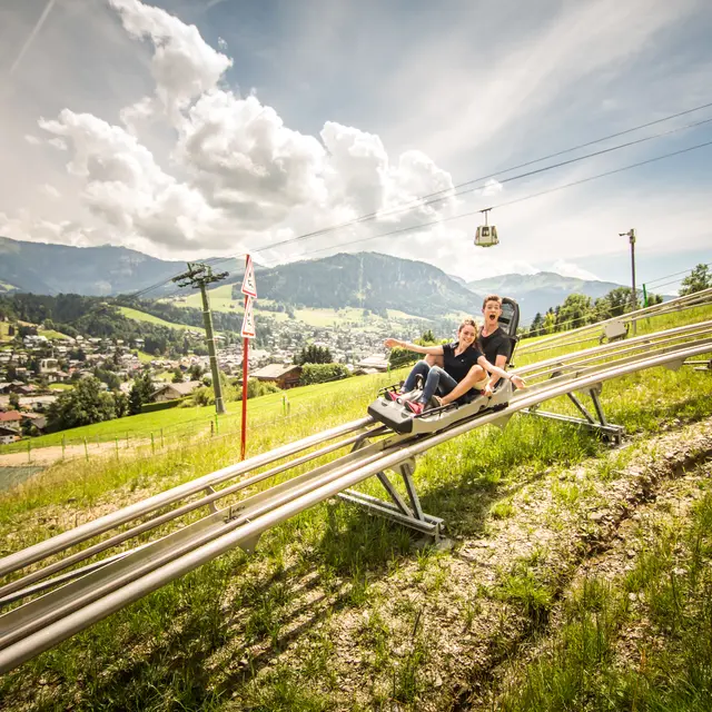luge
