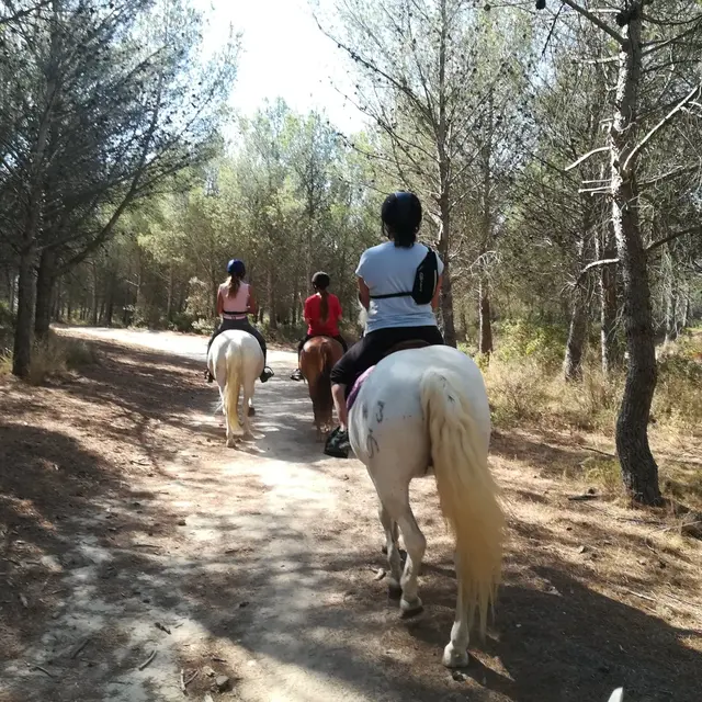 Matinée balade à cheval avec le Deven_Istres