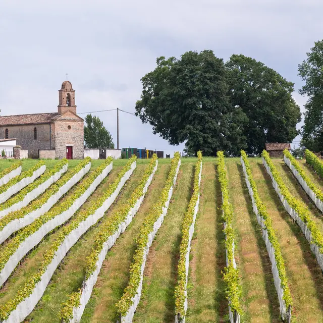Les cinq Chapelles de Durfort Lacapelette_Durfort-Lacapelette