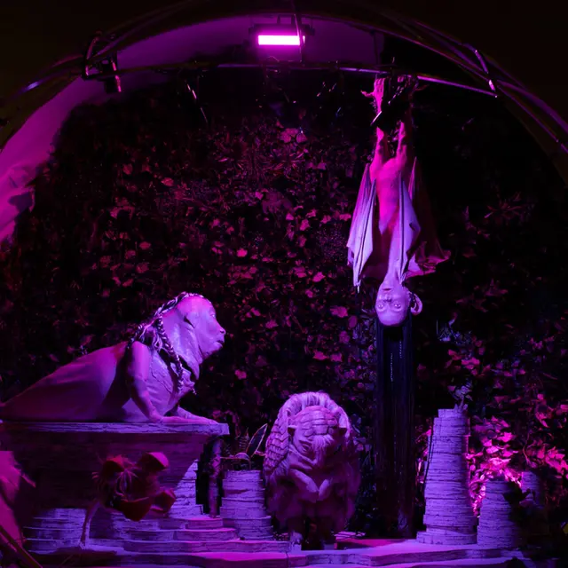 Earthbound_Aix-en-Provence