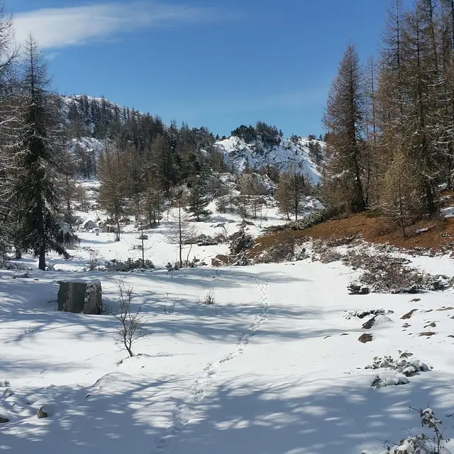 Balade découverte à Ancelle