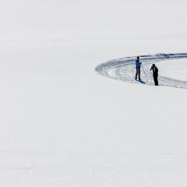 Ski de fond