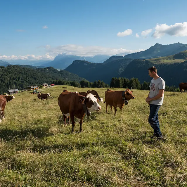 La Ferme du Caly