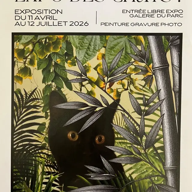 EXPO DES CHATS_Lapenne