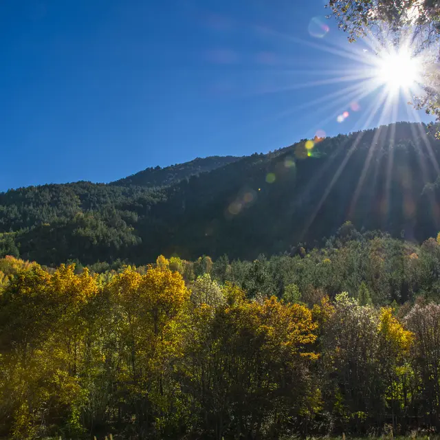 La Martre - La Bastide - La Roque-Esclapon