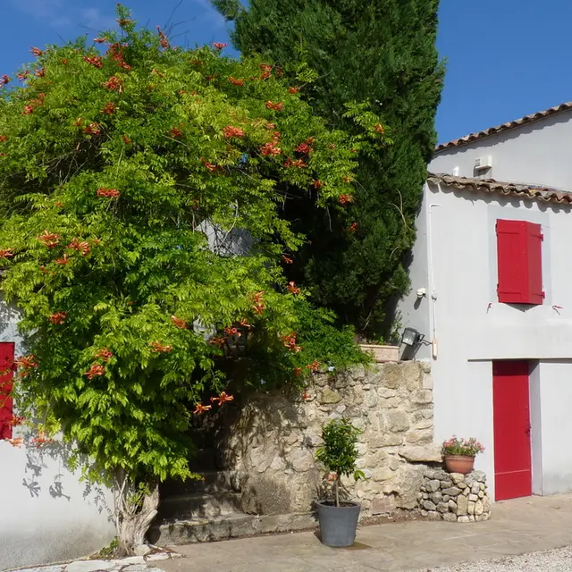 Le Mas de la Diligence