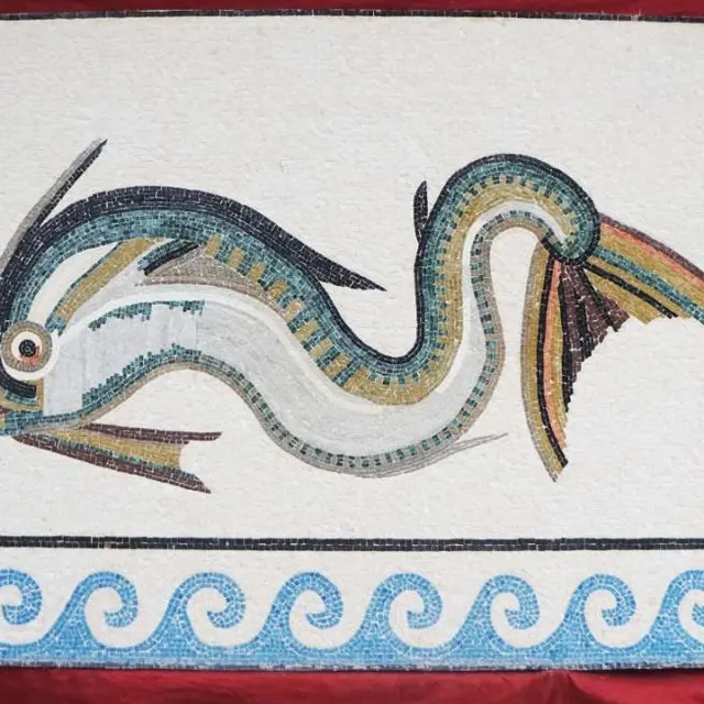 Des histoires de dauphins_Arles