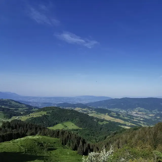 Parcours VTT au fil des alpages de la Vallée Verte_Habère-Poche
