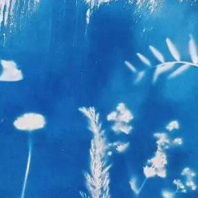 Herbier d'été en famille à la Maison du Marais_Lavours