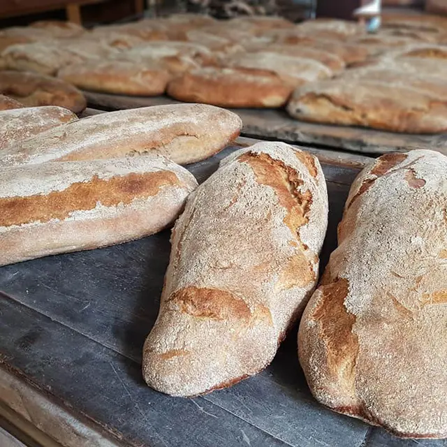 Pain Cédric Monasse