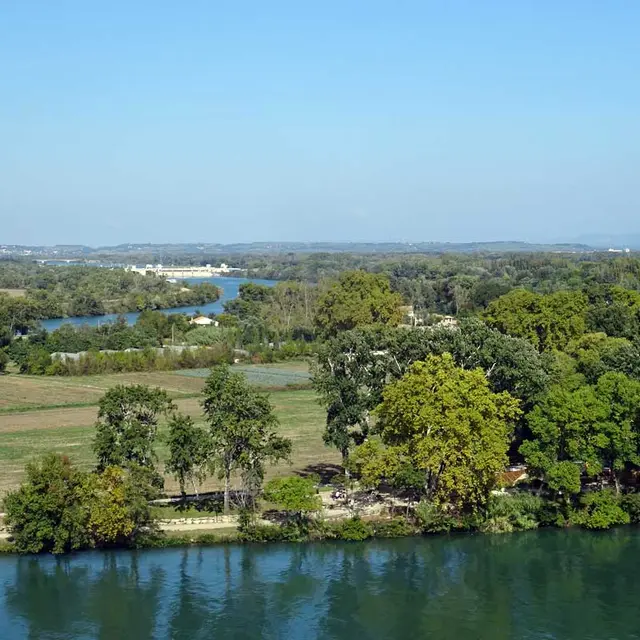 Ile de la Barthelasse