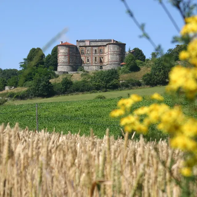 Visites guidées du château de La Chaux Montgros_Sallèdes