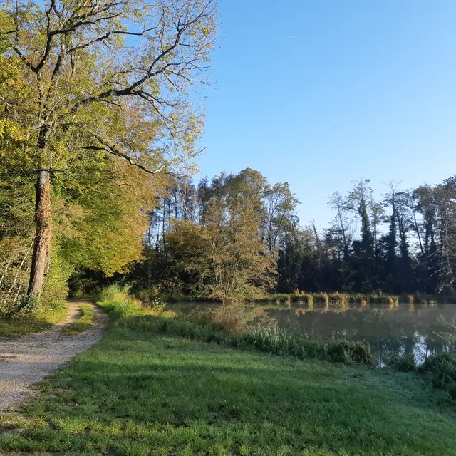 Plan d'eau de Champataule