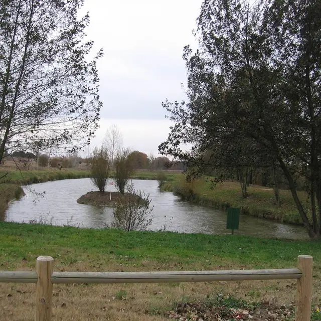 lac de Villemade, Tarn-et-Garonne, lac de pêche, nature