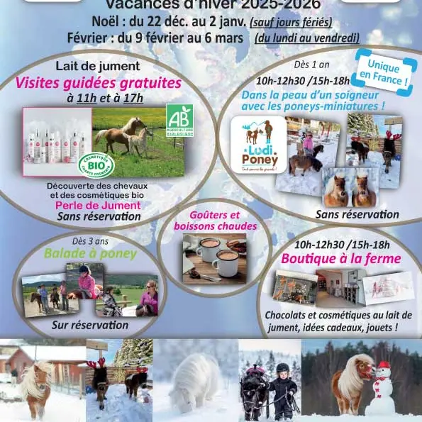 Découverte du ludi-poney au Haras du Vercors_Villard-de-Lans