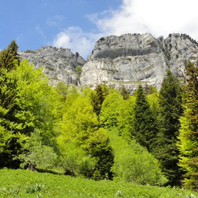 Massif de Chartreuse