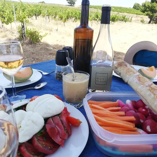 Pique-nique de Montplaisir_Valréas