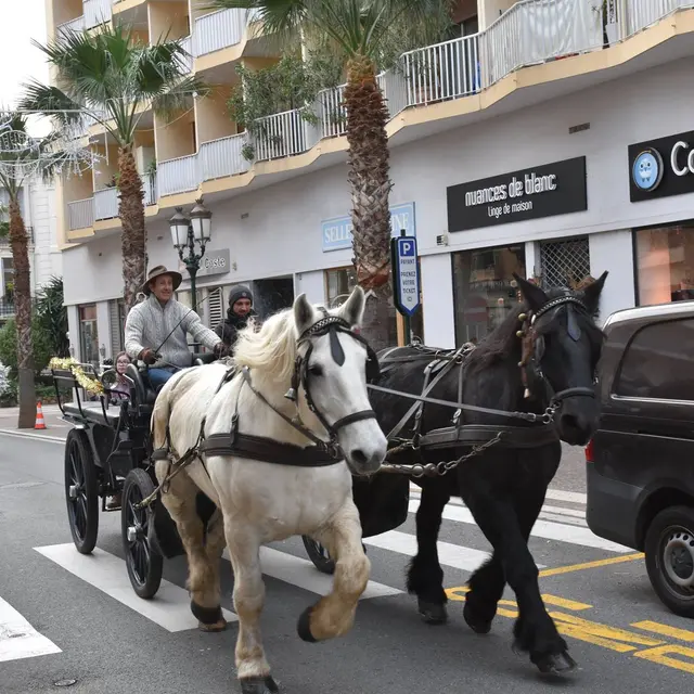 Calèche Beaulieu-sur-Mer