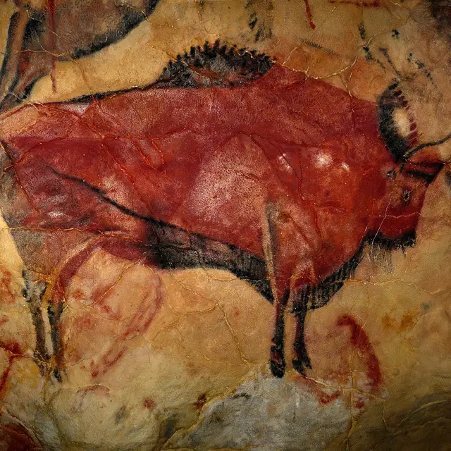 Exposition grotte Chauvet -Pont d’Arc_Roquebrune-sur-Argens