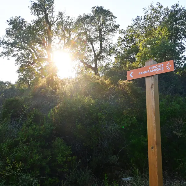 Le sentier du Deffend_Sainte-Maxime