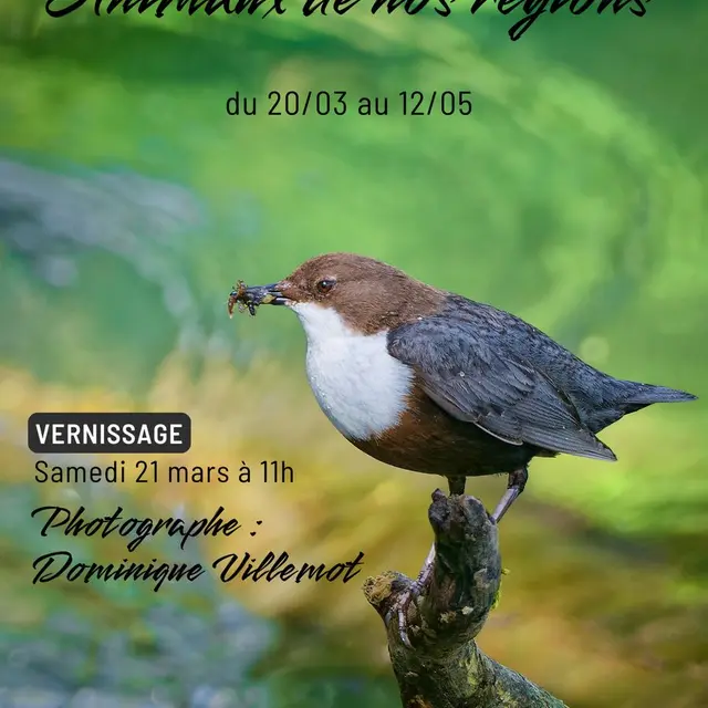 Exposition photos Animaux de nos régions_Brégnier-Cordon