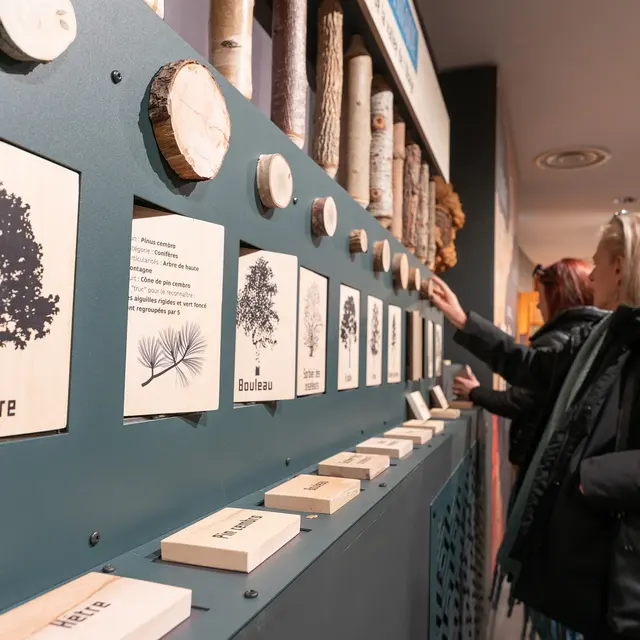 Maison du Bois et de la Forêt de Méolans-Revel