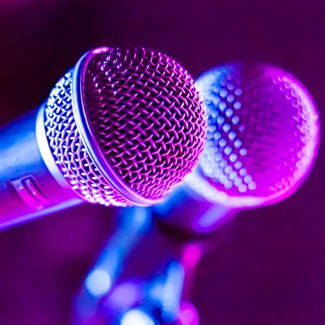 Concert de variétés français par le groupe Les Gammers_Veauche