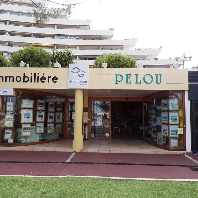 Immo Pelou