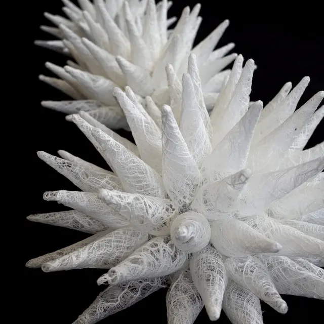 Exposition : Regards croisés_Trélazé