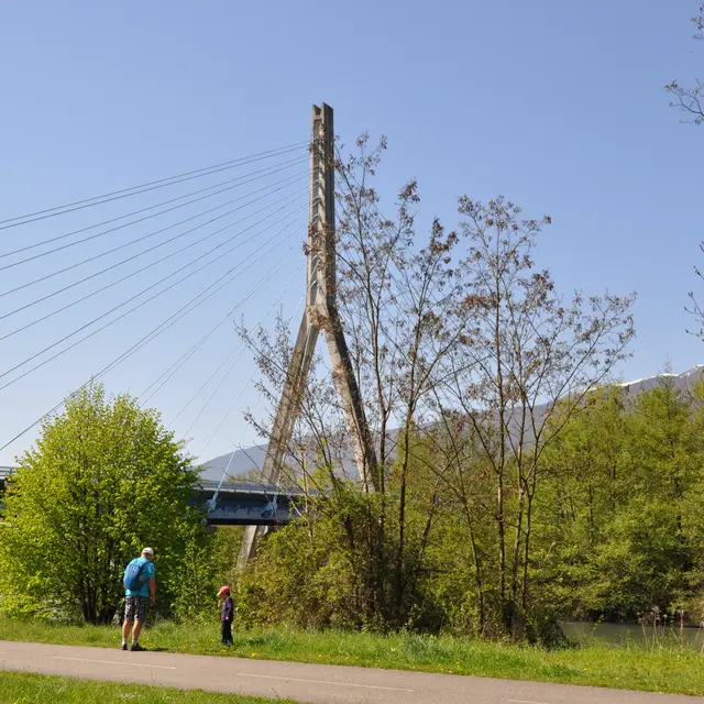 Pont à Haubans