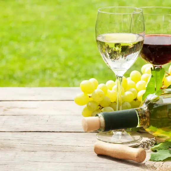 Grande dégustation des vins des terroirs cévenols_Alès