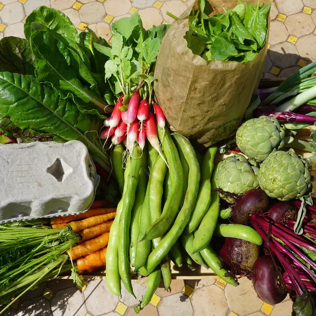 Les Jardins ratatouille