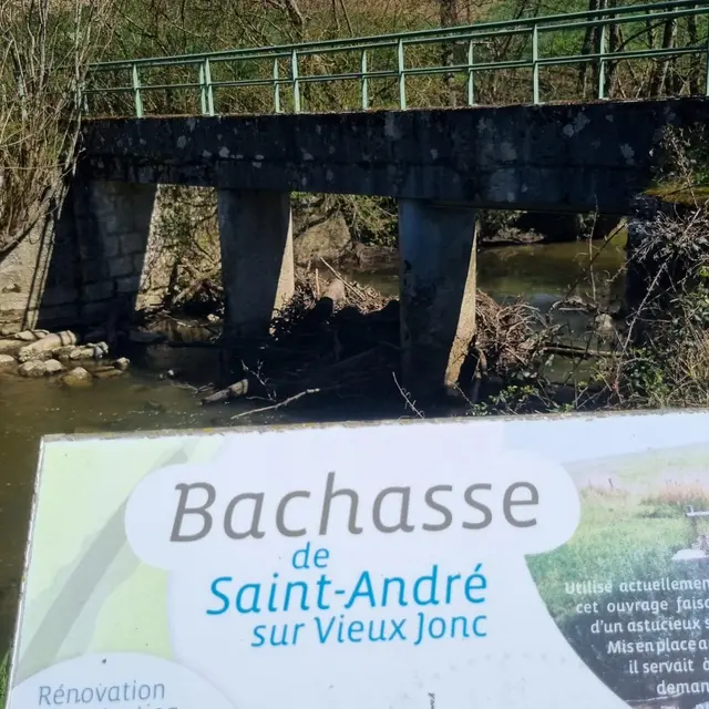 Balade  - Domaine de Cuiset et le Vieux Jonc_Saint-André-sur-Vieux-Jonc