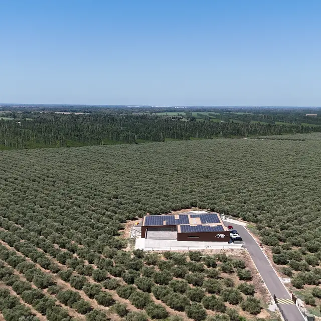 Moulin à huile Maison Leydier_Saint-Martin-de-Crau