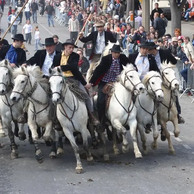 Les taureaux dans les rues - Feria de Pâques_Arles