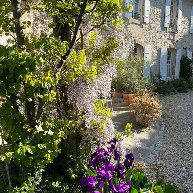 La Maison de Zélie_Graveson