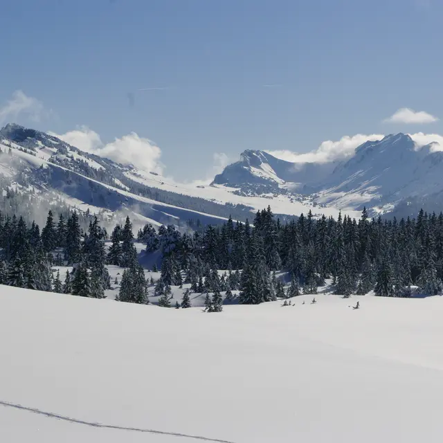 Randonnée avec L'oreille du lynx - Chartreuse