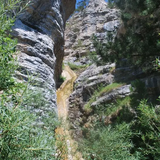 Gorges de l'Aup