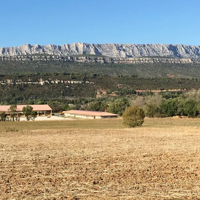 Écurie Wilfrid Pierrot