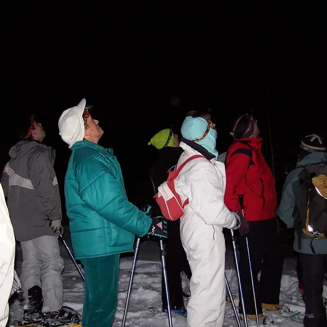 Ciel étoilé d'hiver